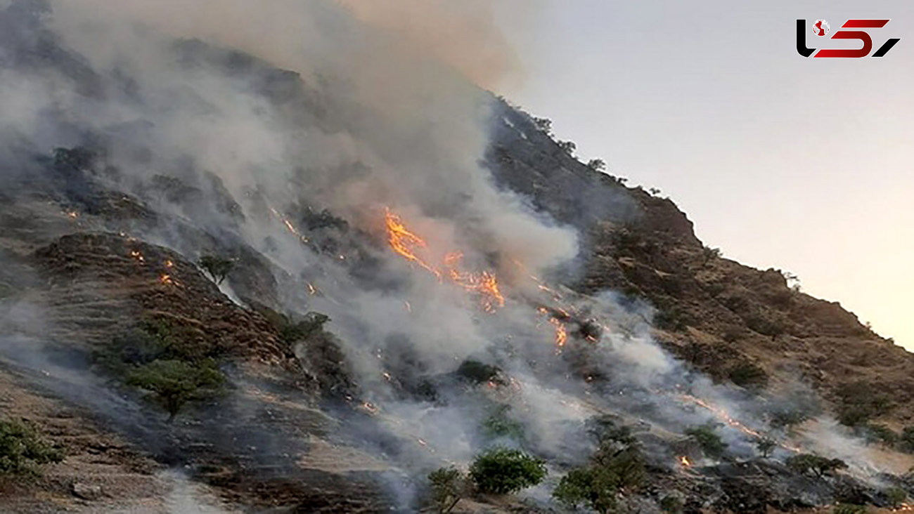  جزئیات آتش‌سوزی در تالاب سولدوز نقده 