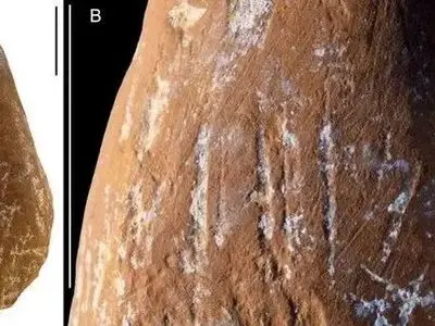 راز مدادشمعی‌ های اولیه در دست نئاندرتال‌ ها!