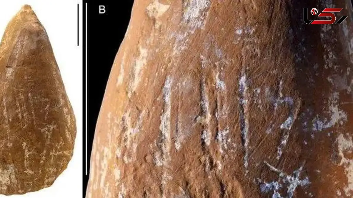 راز مدادشمعی‌ های اولیه در دست نئاندرتال‌ ها!