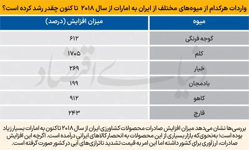 واردات میوه