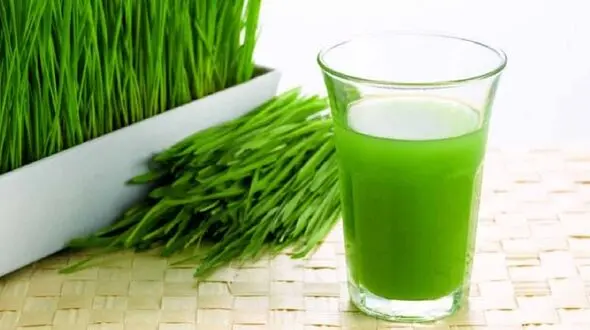 خواص بی نظیر آب سبزه گندم