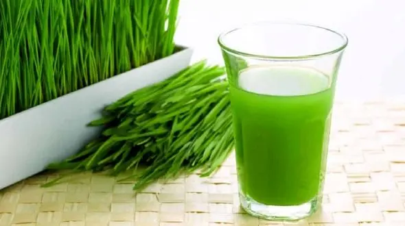 خواص بی نظیر آب سبزه گندم