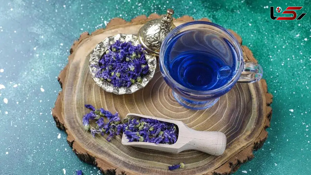 هشدار درباره مصرف گل‌ گاوزبان؛ این دمنوش محبوب همیشه بی‌ خطر نیست