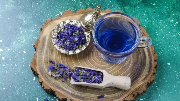 هشدار درباره مصرف گل‌ گاوزبان؛ این دمنوش محبوب همیشه بی‌ خطر نیست