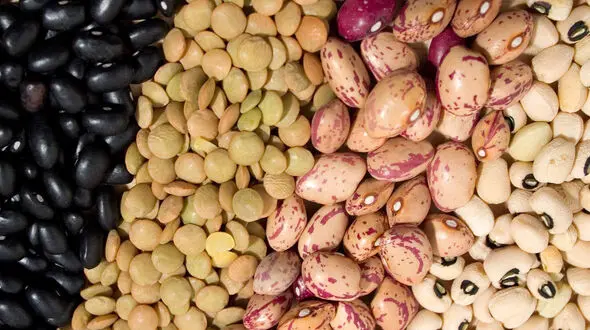 قیمت حبوبات در بازار امروز یکشنبه 16 آذر 99 + جدول