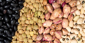 لوبیا چیتی و برنج خارجی ارزان شد / اتحادیه بنکداران خبر داد