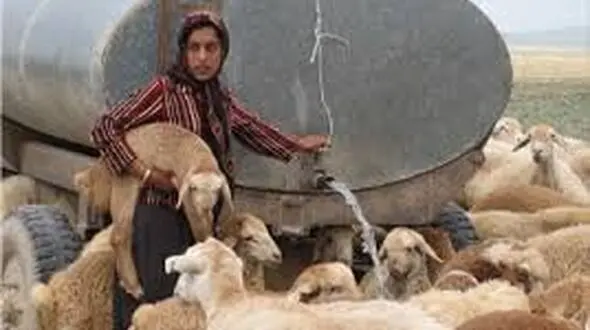 پرداخت ۲۵۰ میلیارد تومان تسهیلات قرض‌الحسنه به عشایر