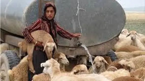 پرداخت ۲۵۰ میلیارد تومان تسهیلات قرض‌الحسنه به عشایر