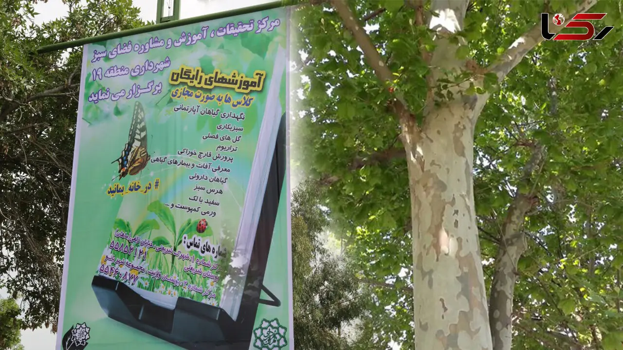 نگهداری از گل و گیاه  را مجازی یاد بگیرید