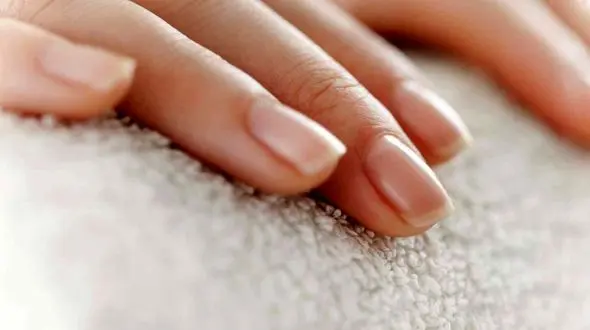 فیلم/ موجودات چندشناکی که زیر ناخن شما هستند! 