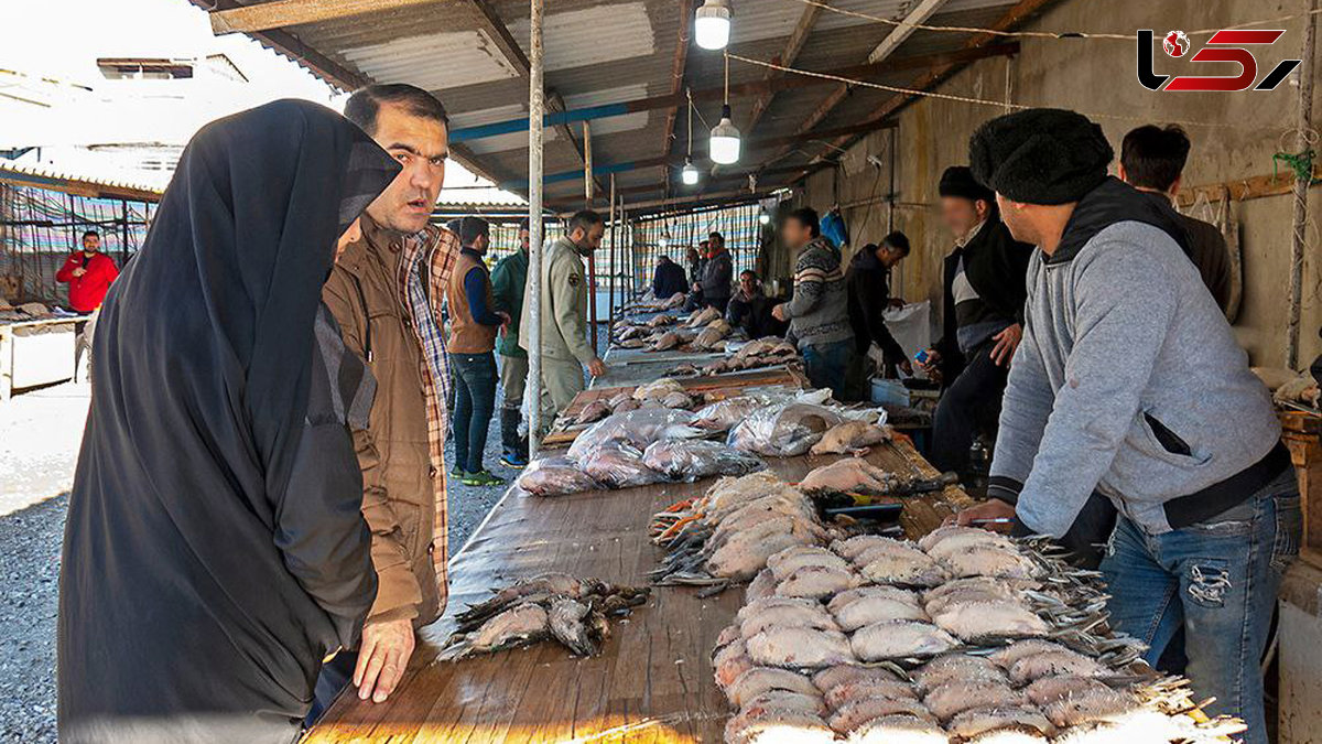 تعطیلی بازار فروش پرندگان مهاجر در فریدونکنار با دستور قضایی 