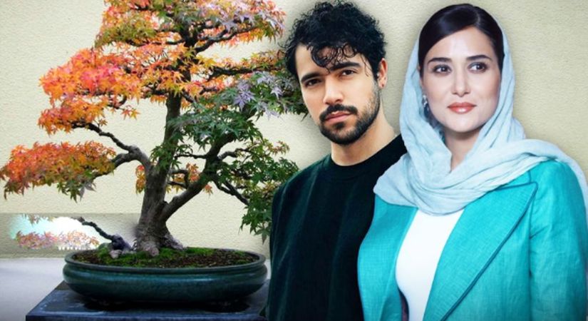 شروین حاجی پور بازیگر شد+ عکس