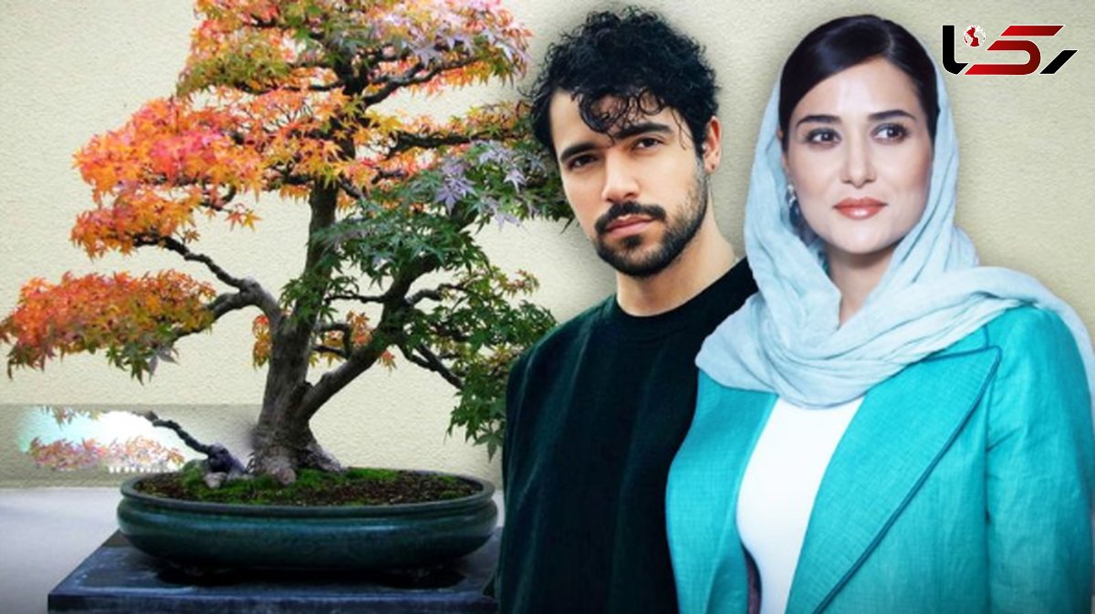 شروین حاجی پور بازیگر شد+ عکس