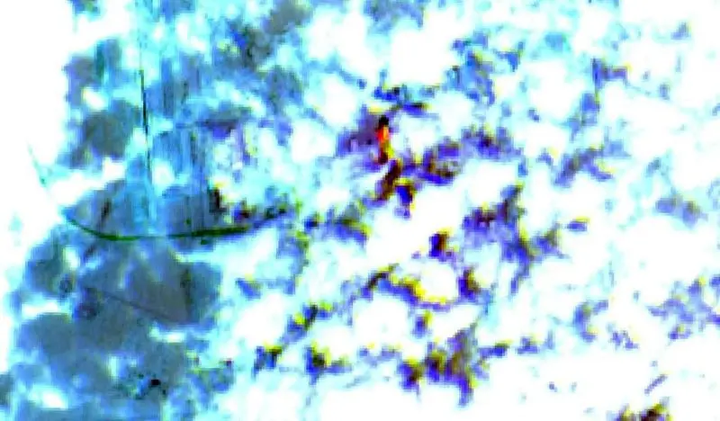 photo_2026-03-27_20-28-08