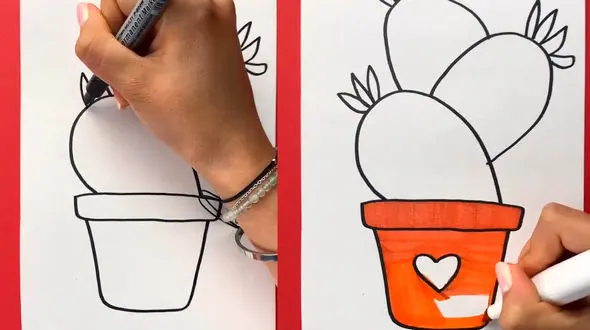 رنگ آمیزی کاکتوس + فیلم