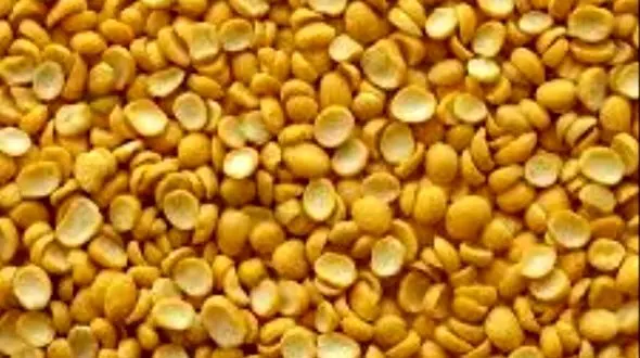 لپه ایرانی نایاب شد +قیمت