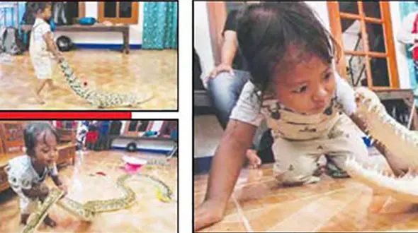 هم بازی های وحشتناک این پسر بچه سوژه رسانه های جهان شد+ عکس و فیلم 