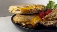 دو طعم وسوسه‌ انگیز / پنینی مرغ پنیری و  چیکن مالایی تیکه
