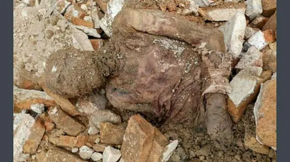 جنازه رضا شاه کجاست ؟ / بعد از نبش قبر در شهرری چه اتفاقی افتاد؟ + عکس