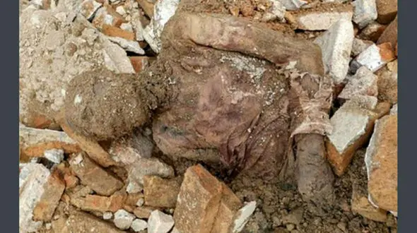 جنازه رضا شاه کجاست ؟ / بعد از نبش قبر در شهرری چه اتفاقی افتاد؟ + عکس