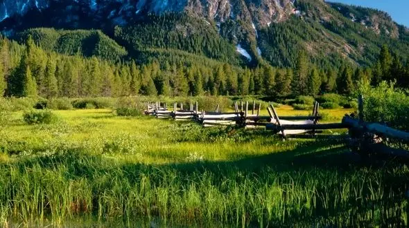 از دل جنگل تا قطره‌های شب / آرامش بی‌ کلام