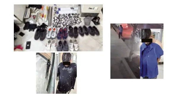 پایان پرواز کلاغ‌های غریبه در مشهد / سرقت‌های هالیوودی لو رفت!