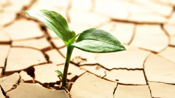 10 سرنخ سلامت جسم و روح