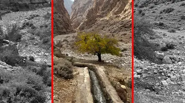 فیلم چشم‌انداز دیدنی تنگ کتویه داراب