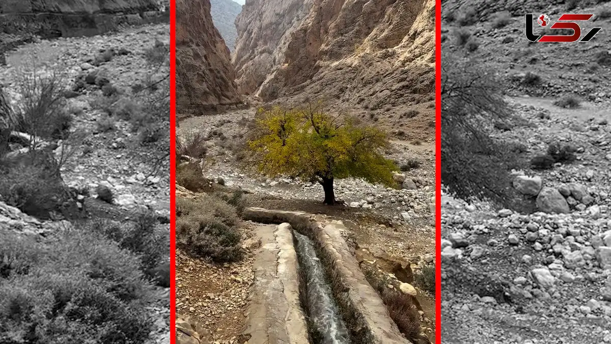 فیلم چشم‌انداز دیدنی تنگ کتویه داراب