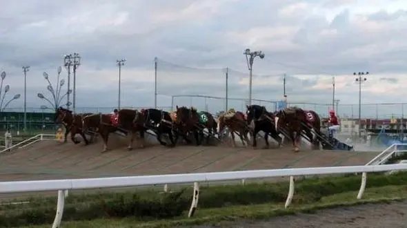 کندترین و عجیب ترین مسابقات اسب سورای دنیا