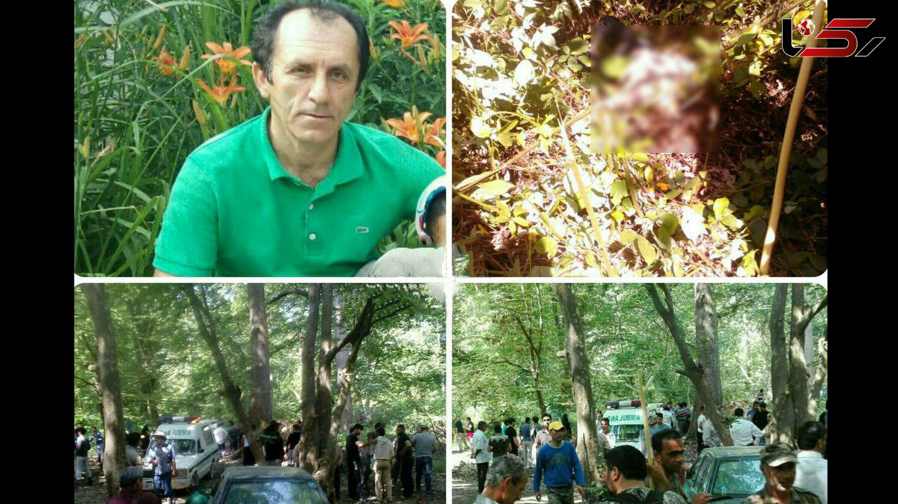 راز تیراندازی‌ مرگبار در جنگل نورفاش شد + عکس 