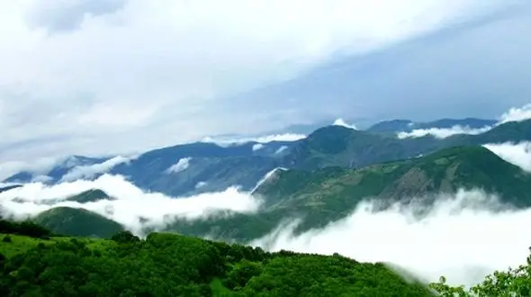 رازهای نهفته جنگل دیزمار ورزقان؛ عروس دلربای کوه‌ های آذربایجان