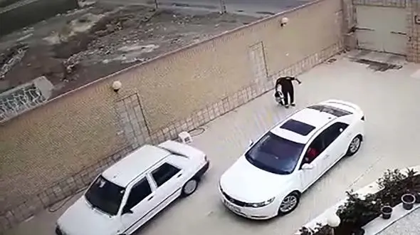 نجات به موقع کودک بندرعباسی از مرگ حتمی+ فیلم