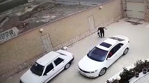 نجات به موقع کودک بندرعباسی از مرگ حتمی+ فیلم