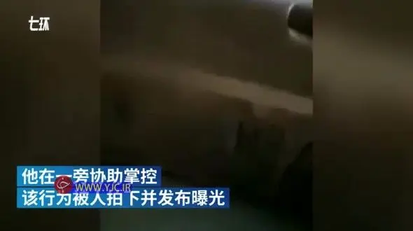 نوه‌ای که زندگی پدربزرگش را سیاه کرد+ فیلم