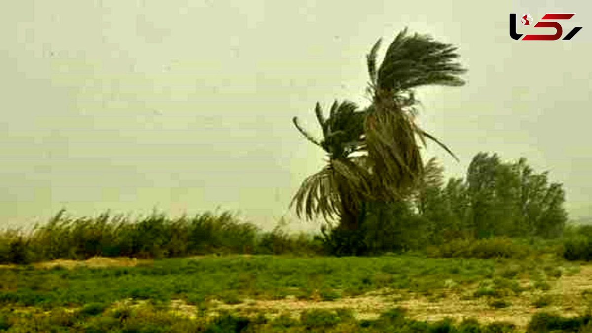 گرمای ۵۰ درجه در راه بوشهر/ خلیج فارس هم مواج می‌شود