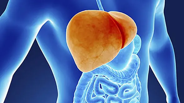 10 علامت خطر جدی برای کبد