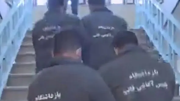 فیلم گفتگو با سارقان مسلح خانه تهرانی ها / تحویل هدیه شگردشان بود  