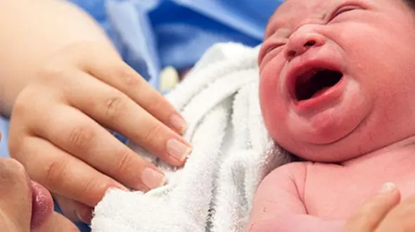 فیلم تولد چهارقلوهای گمیشانی / پدر و مادر این 4 دختر طلب کمک دارند