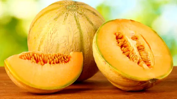 طالبی رفیق استخوان های شماست