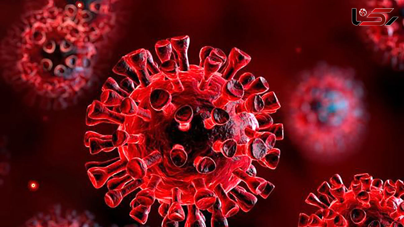 مشاهده گونه جدید ویروس کرونا در ایتالیا