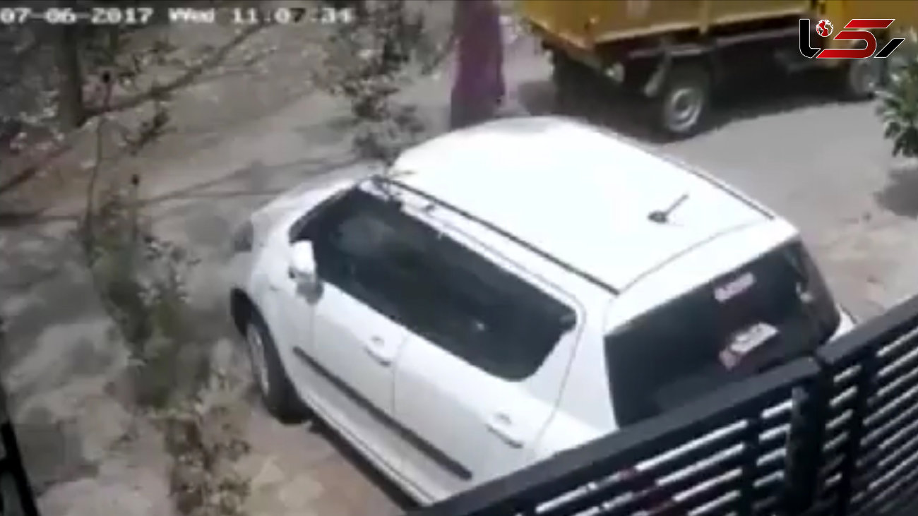 راننده کامیون بی احتیاط هنگام دنده عقب رفتن یک زن را له کرد + فیلم