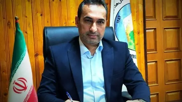 قطع 70 درخت کهنسال در بهشهر / منابع طبیعی مازندران:حکم بازداشت و توقیف خودروی مظنونین صادر شد