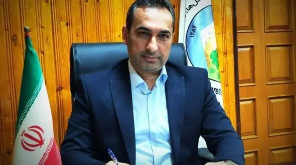 قطع 70 درخت کهنسال در بهشهر / منابع طبیعی مازندران:حکم بازداشت و توقیف خودروی مظنونین صادر شد