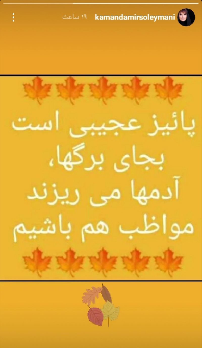 کمند سلیمانی 