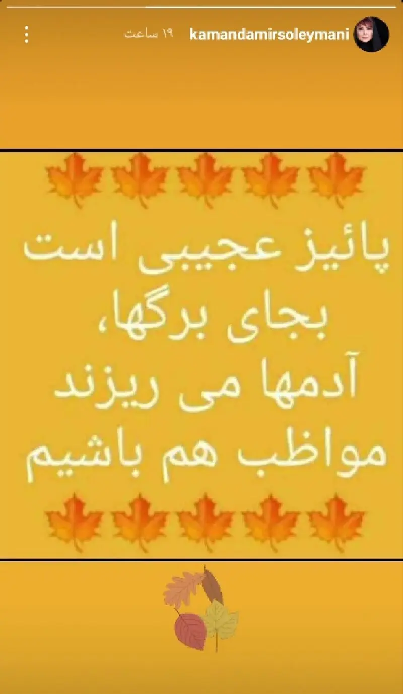 کمند سلیمانی 