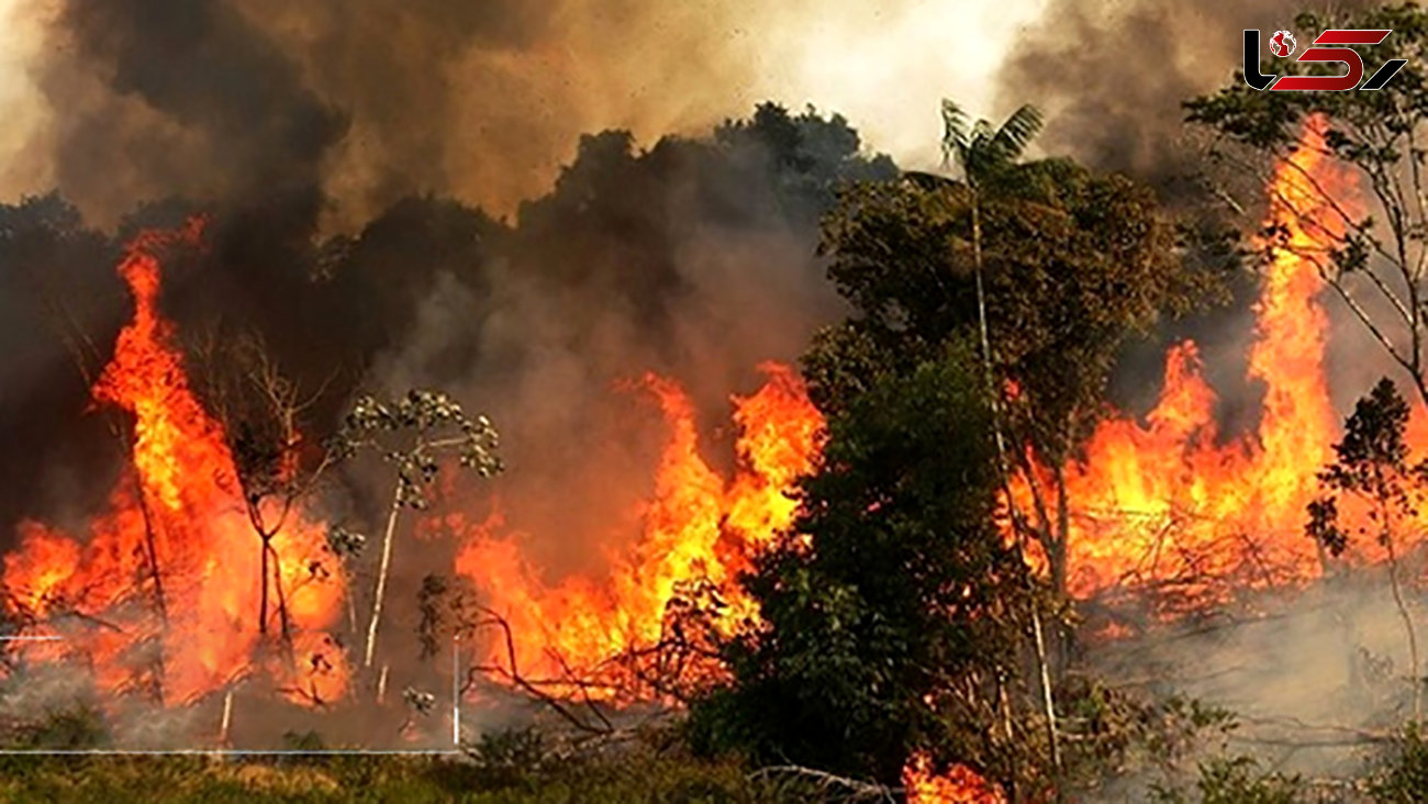 آتش‌سوزی‌های اخیر وزیران را به مجلس کشاند