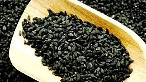 خانم ها از سیاه دانه غافل نشوید + فیلم 