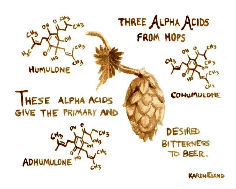 نور، ساختار مولکولی رازک را می‌شکند و از دلش ترکیبی متولد می‌شود که طعم و بوی ناخوشایندی می‌دهد