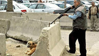 عکس دلخراش از پشت پرده سگ‌ کشی با آمپول اسید در آرادکوه جاده قم 